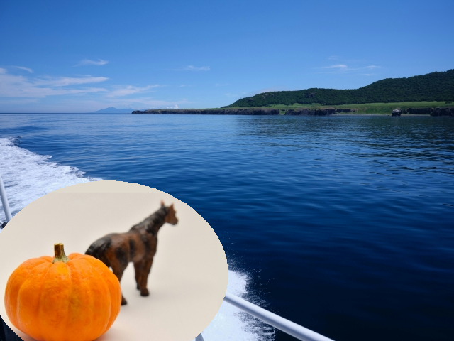 知床半島とかぼちゃの馬車